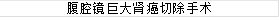 ǻ޴г